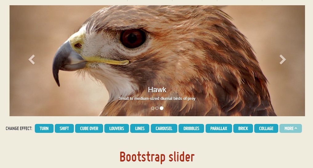  Bootstrap Range Slider Example 