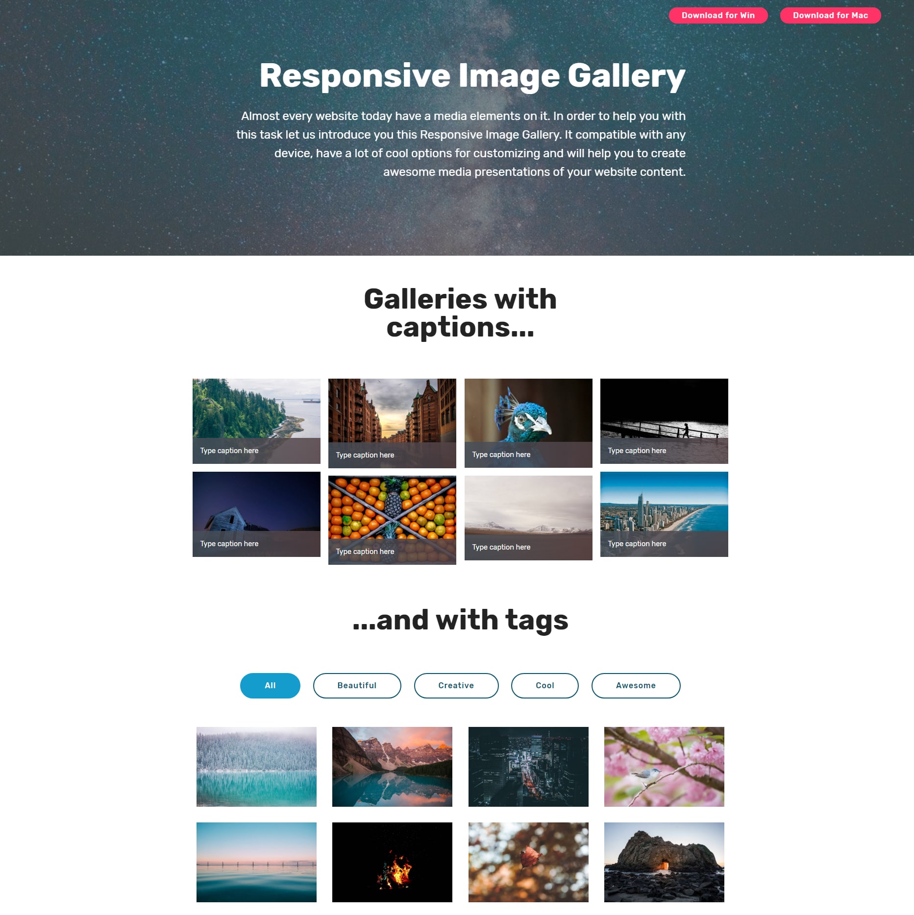 CSS Bootstrap Image Gallery