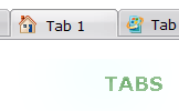 Tabs Style 4  - Icons Buttons